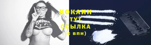 a pvp Лиски