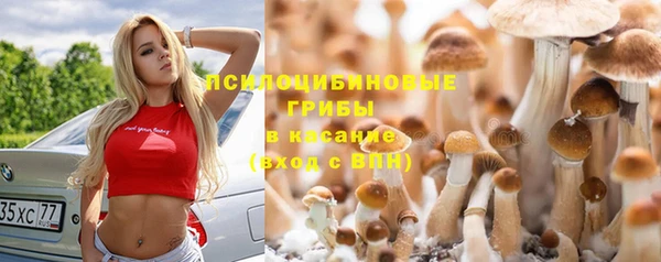 a pvp Лиски